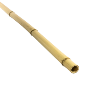 Bamboo pole 3m
